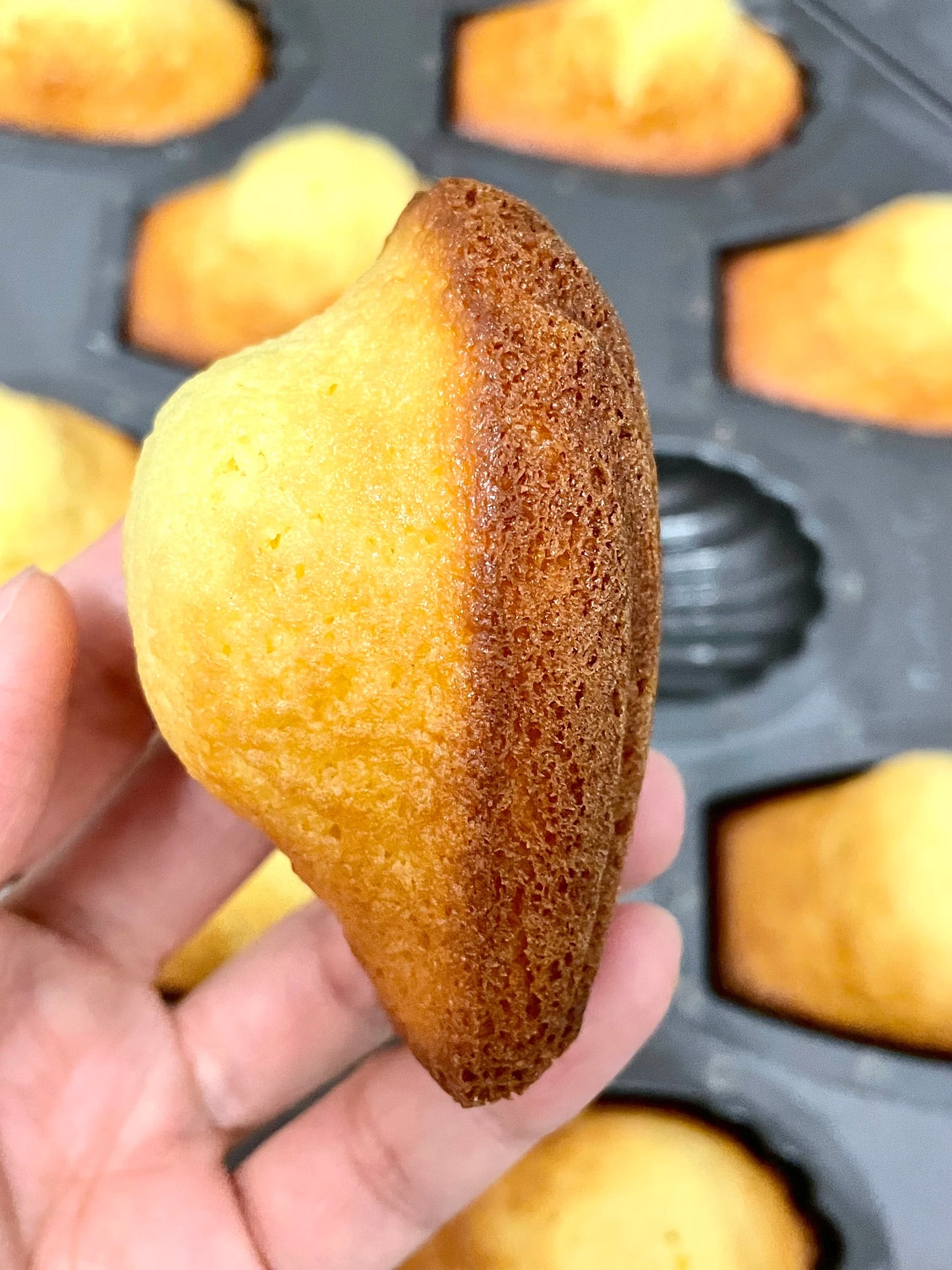 french madeleines