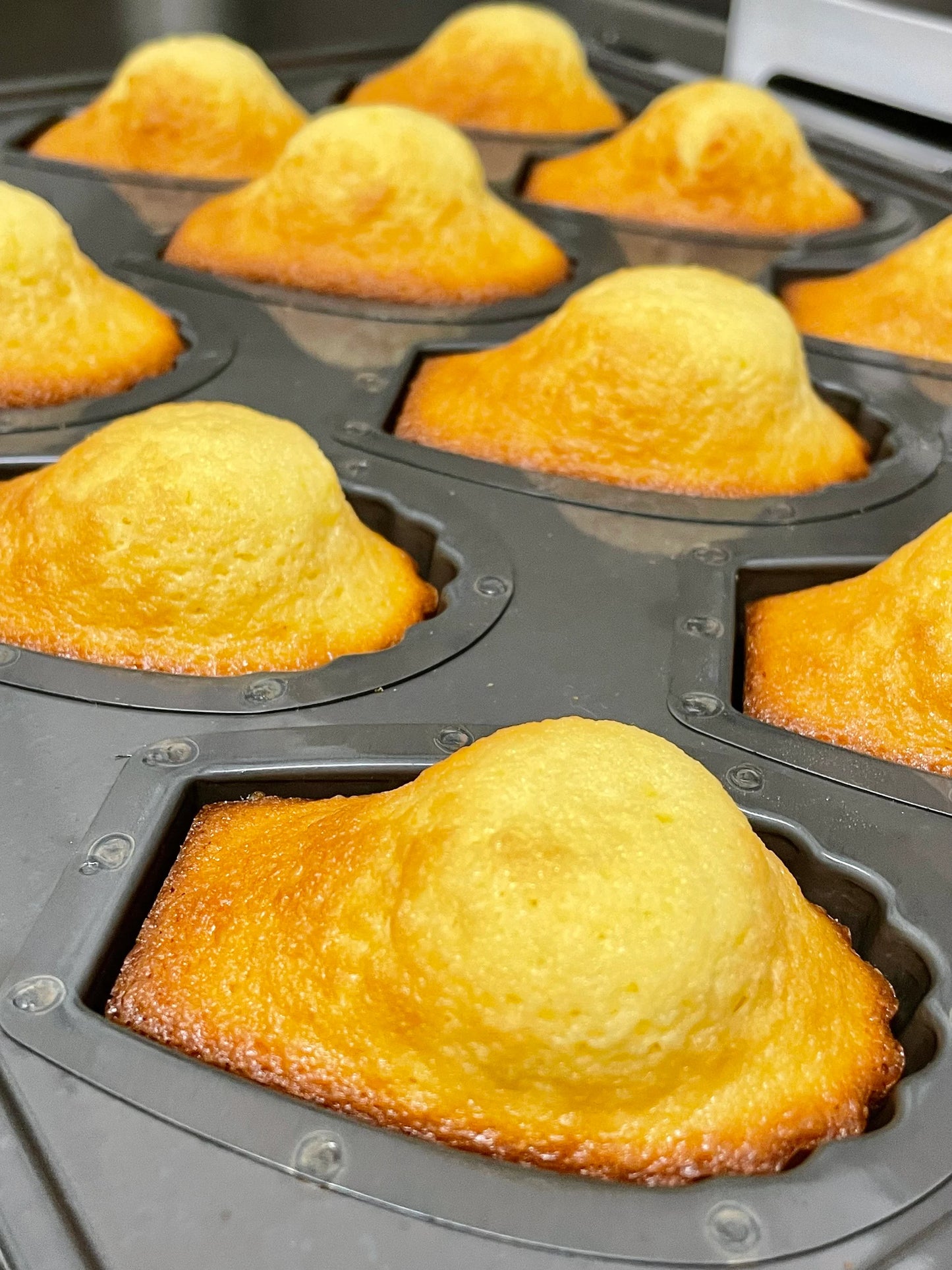 french madeleines