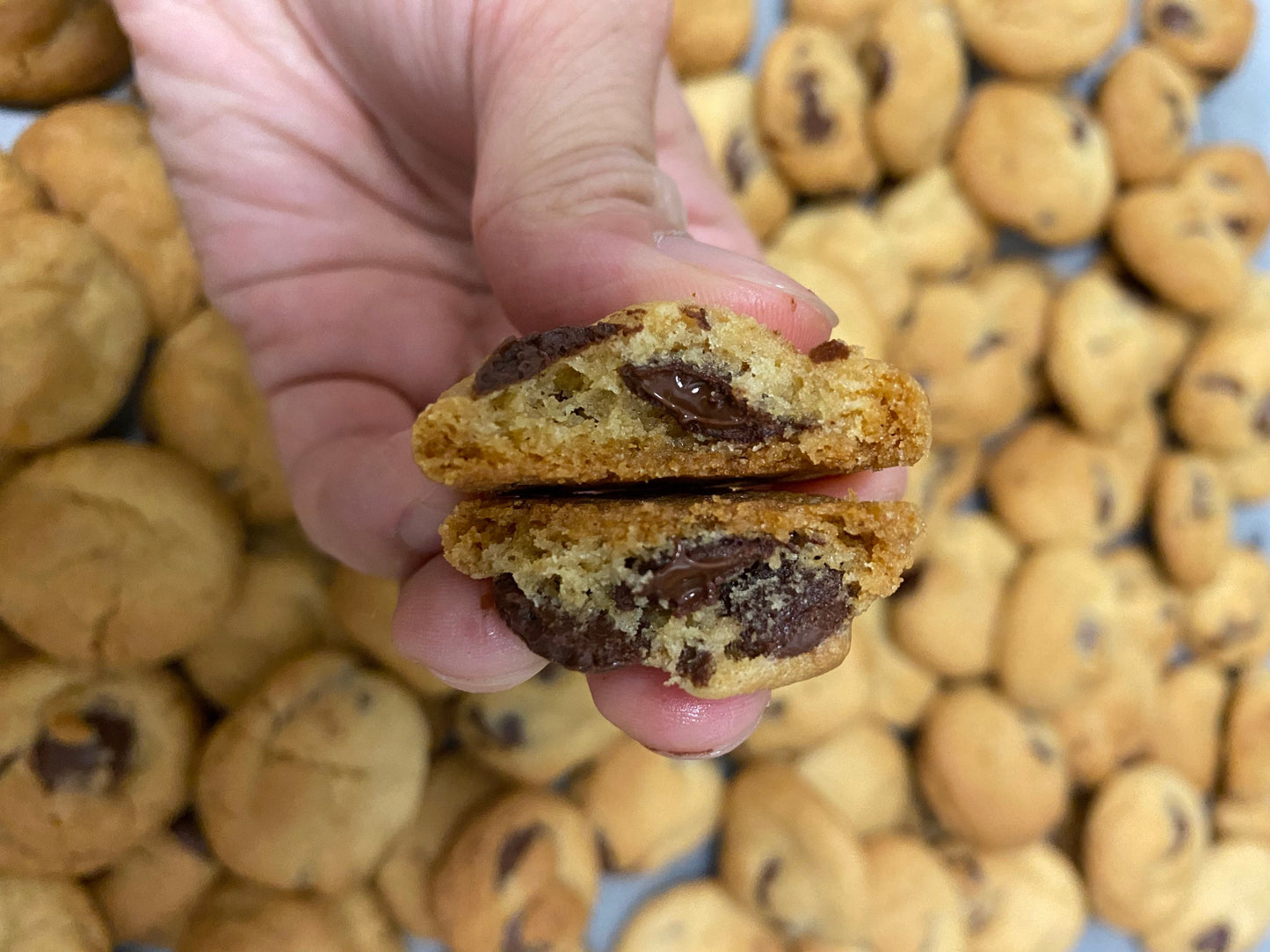 mini chocolate chip cookies - 1 can