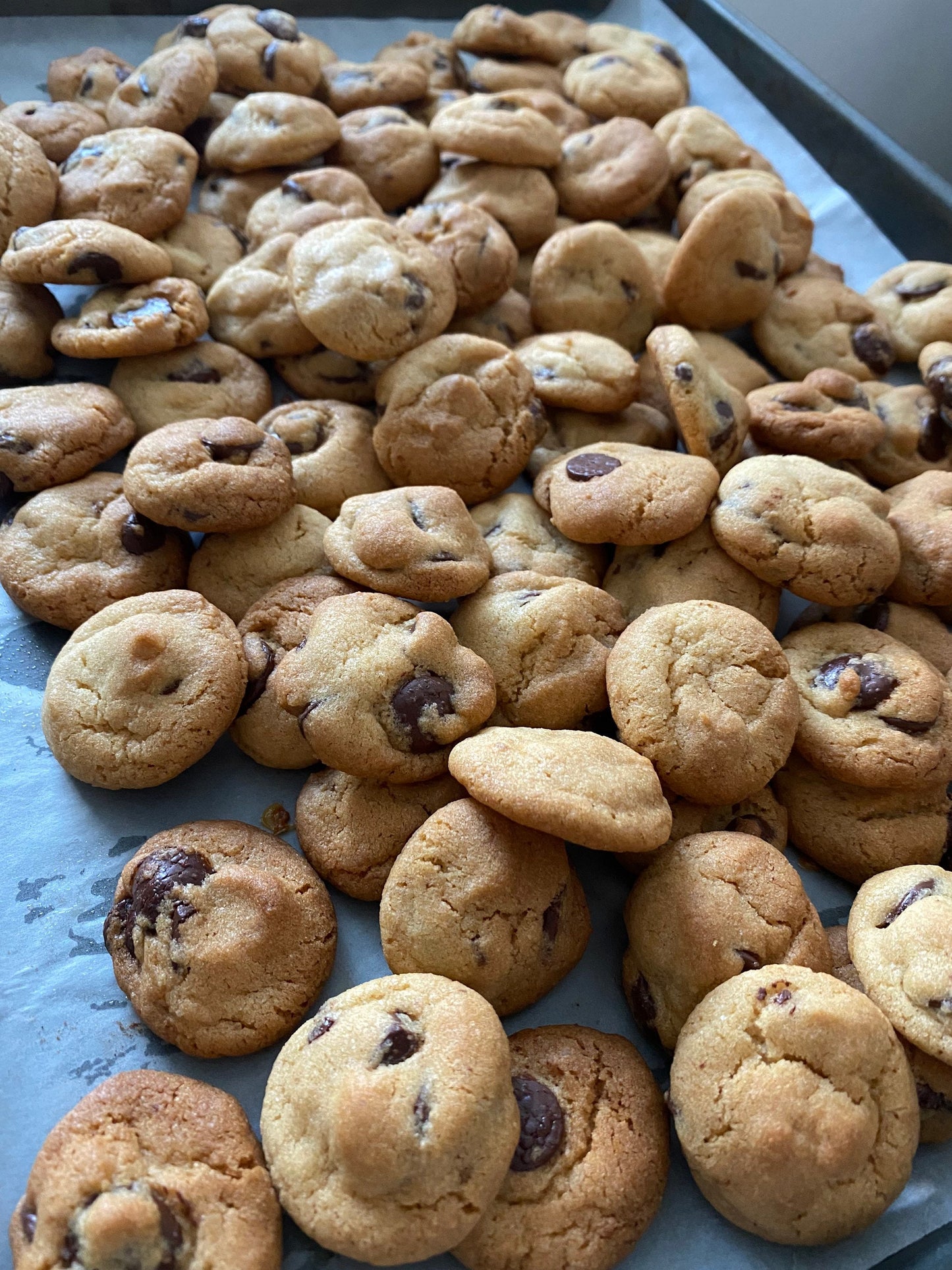 mini chocolate chip cookies - 1 can