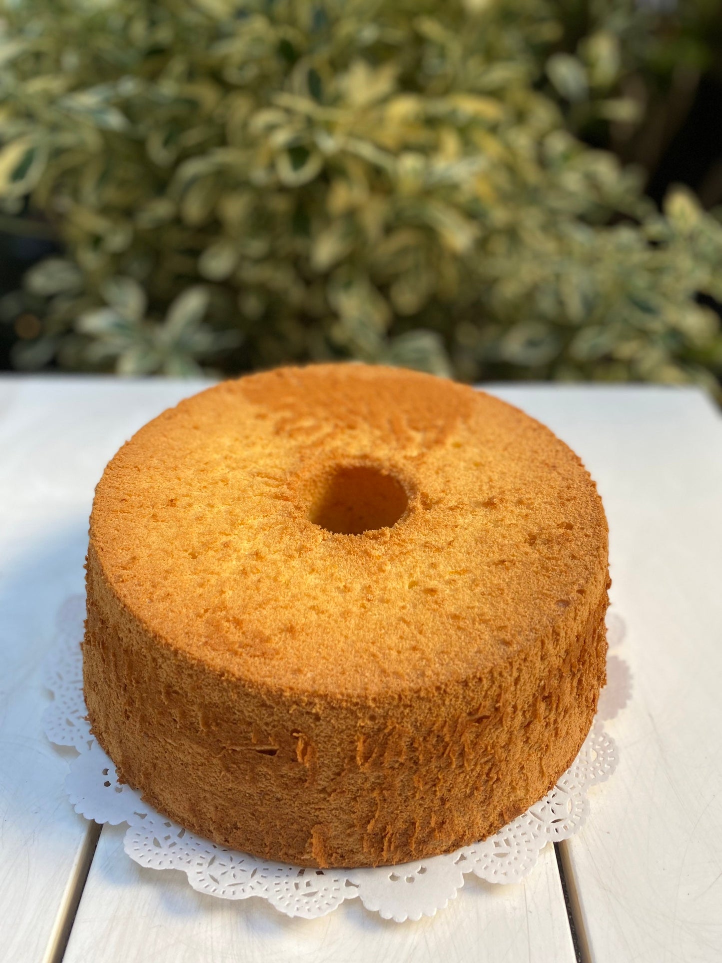 orange chiffon cake